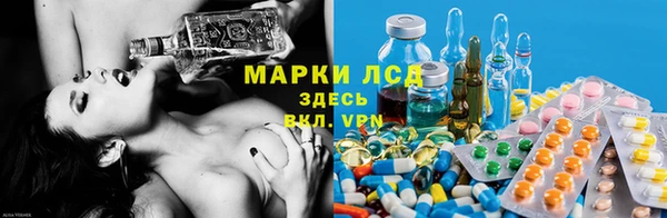 spice Аркадак