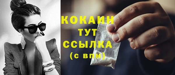 spice Аркадак