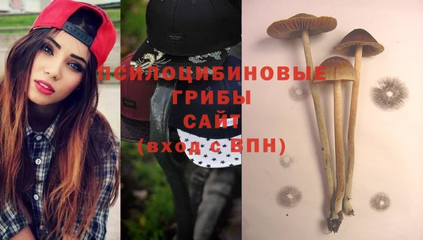 Альфа ПВП Арсеньев