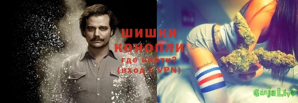 spice Аркадак