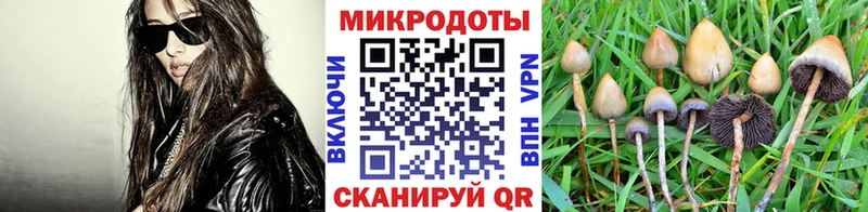 Псилоцибиновые грибы мухоморы  Осинники 